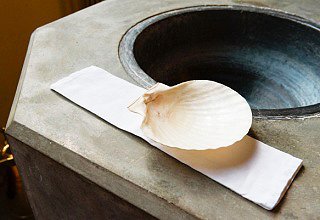 Scallop-shell-320x220.jpg